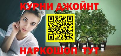гидра Кулебаки