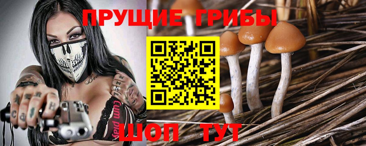 Псилоцибиновые грибы мухоморы Зеленокумск